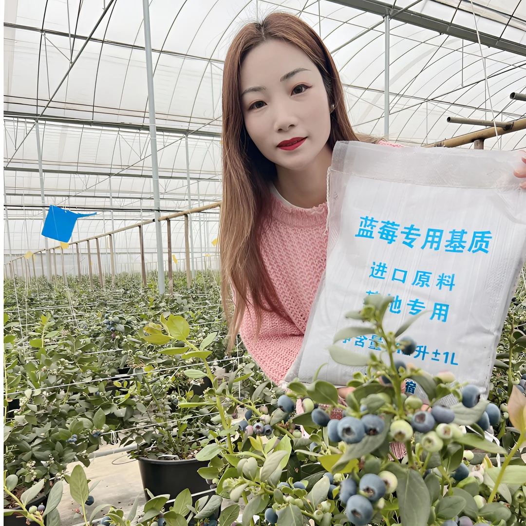 【蓝莓专用营养土】室内阳台盆栽蓝莓酸性配方土疏松透气椰糠泥炭土