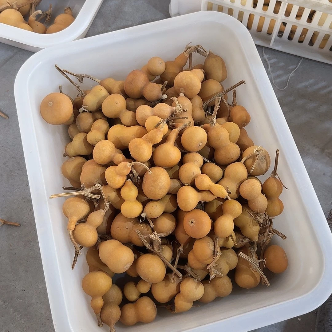 碧***玺有机玻璃110哥多送了20个