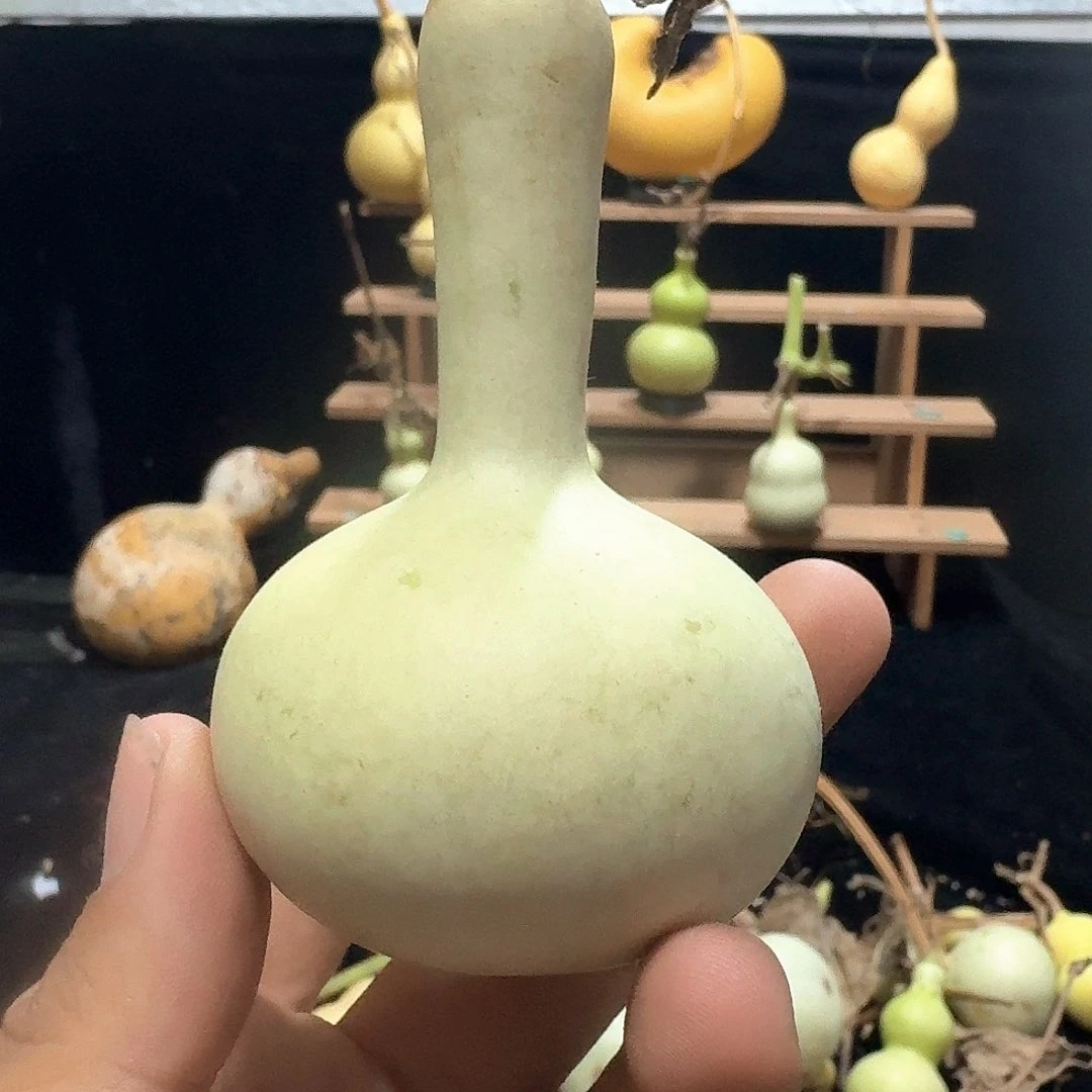 星**…独霸定向定向定向