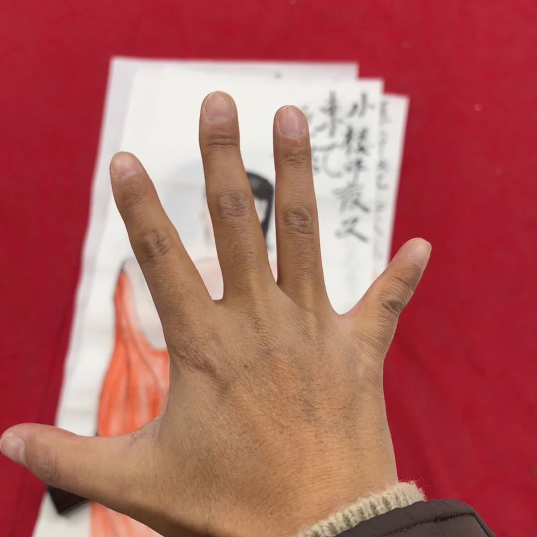 张***詺国画花鸟等图案为一体而成