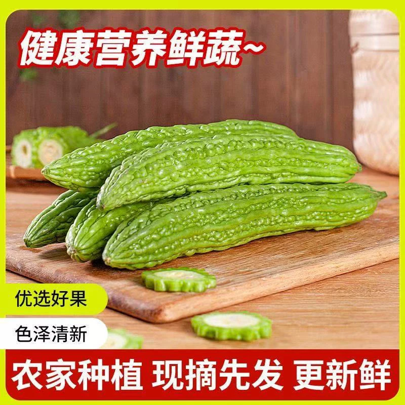 【凌晨现摘】精品苦瓜农家自种头茬新鲜当季青皮