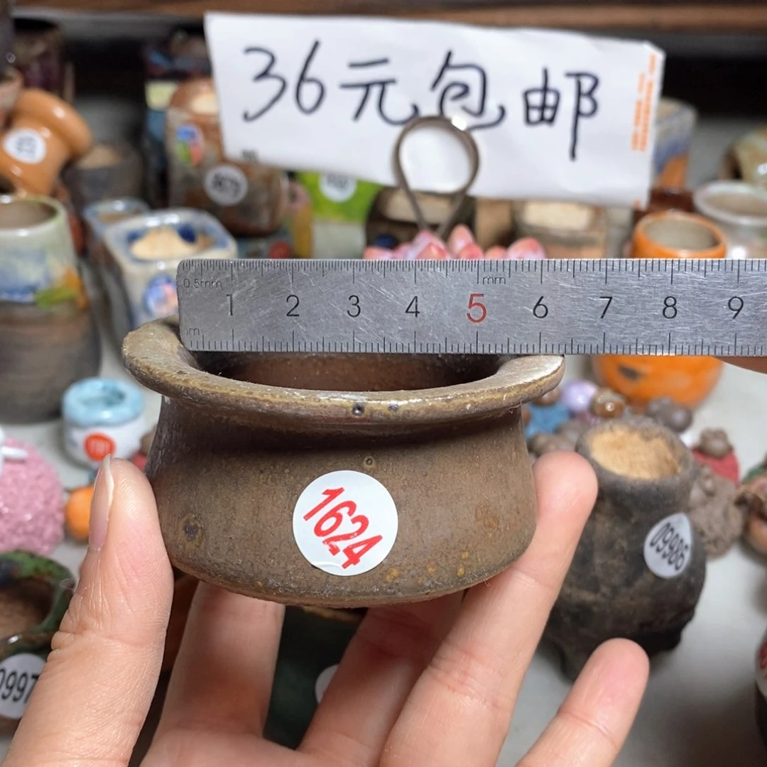 拍5送一个同款的，