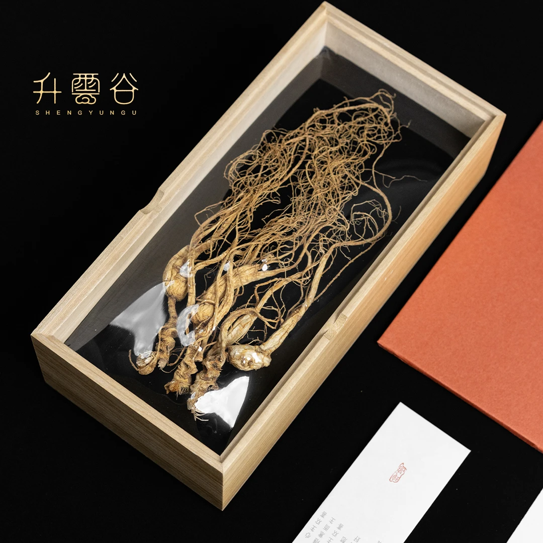 长白山野山参 家庭3-4支装 20g 籽儿货 无人工干预 17-18年参龄