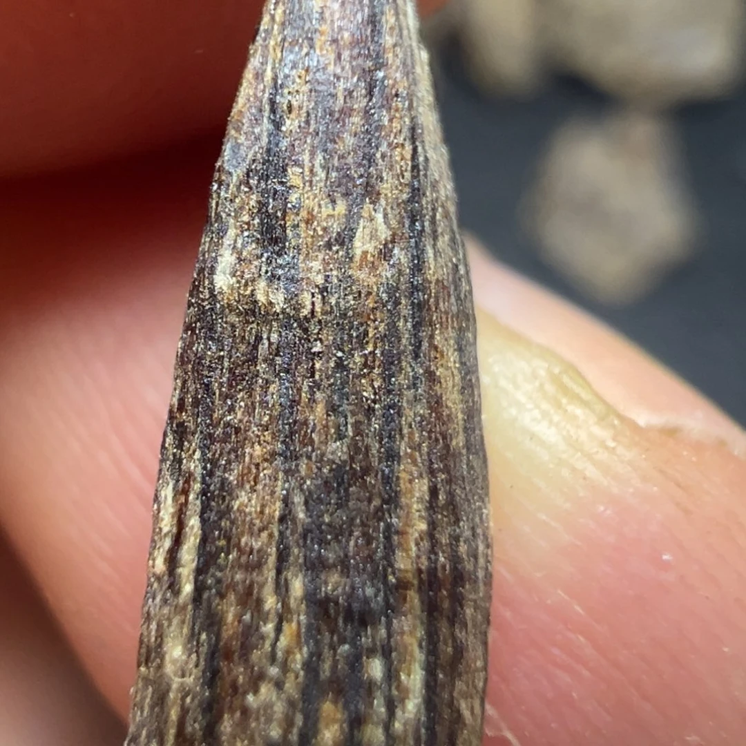 夏***逛沉香沉香碎屑海南黎母山吊口树心0.5g