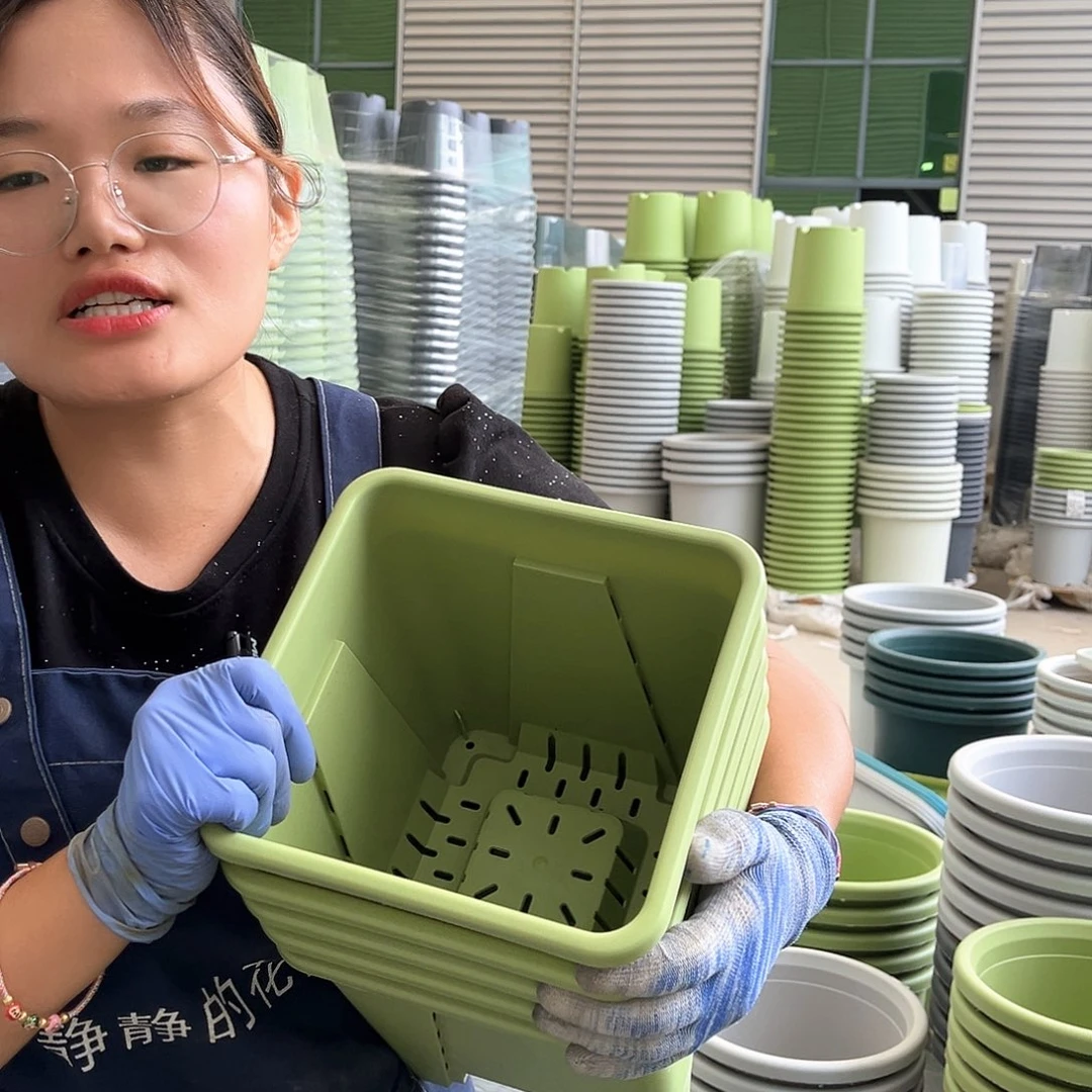 方盆F22 果绿5个无托