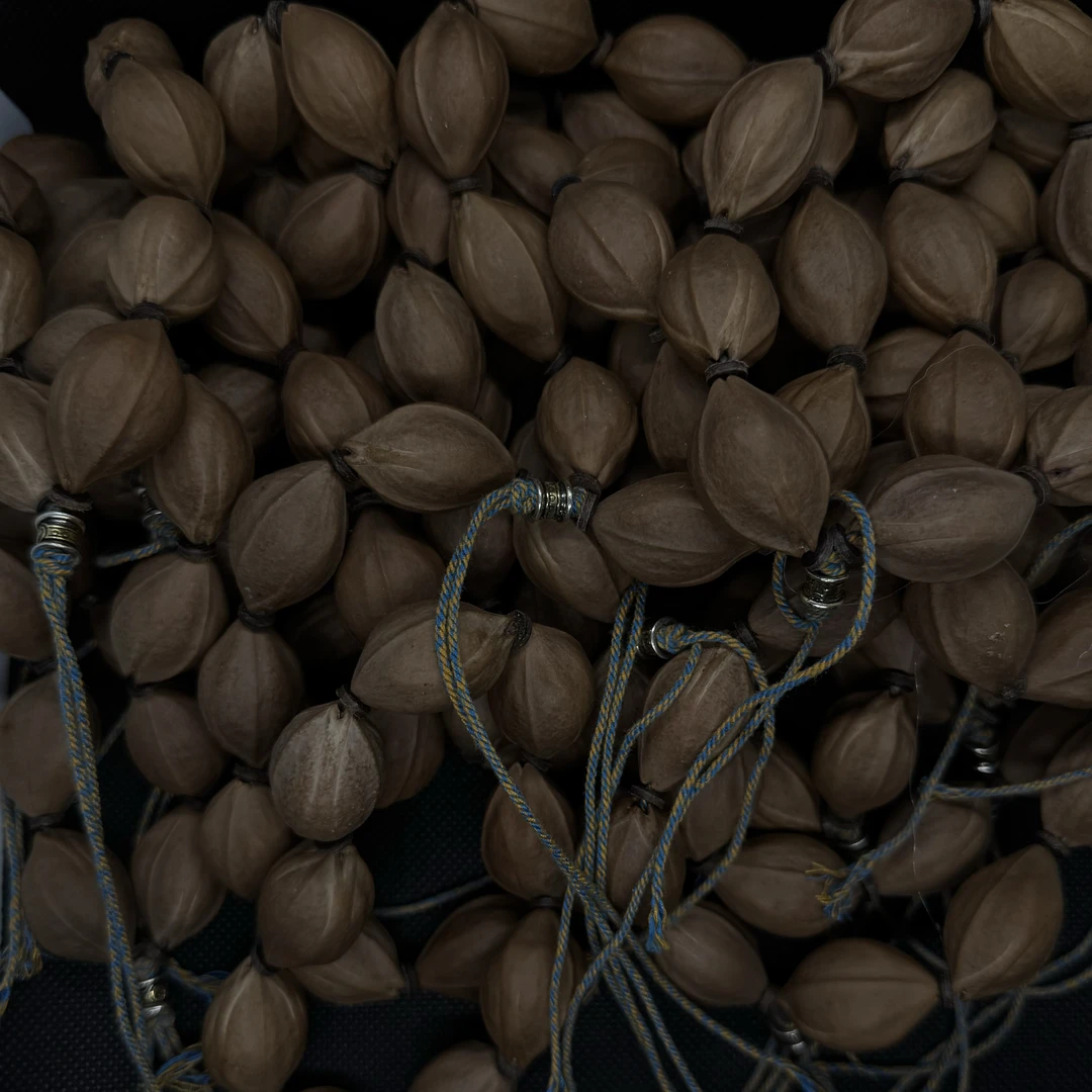 太鼎了！原生态精选高货铁核素核橄榄核【19-20】