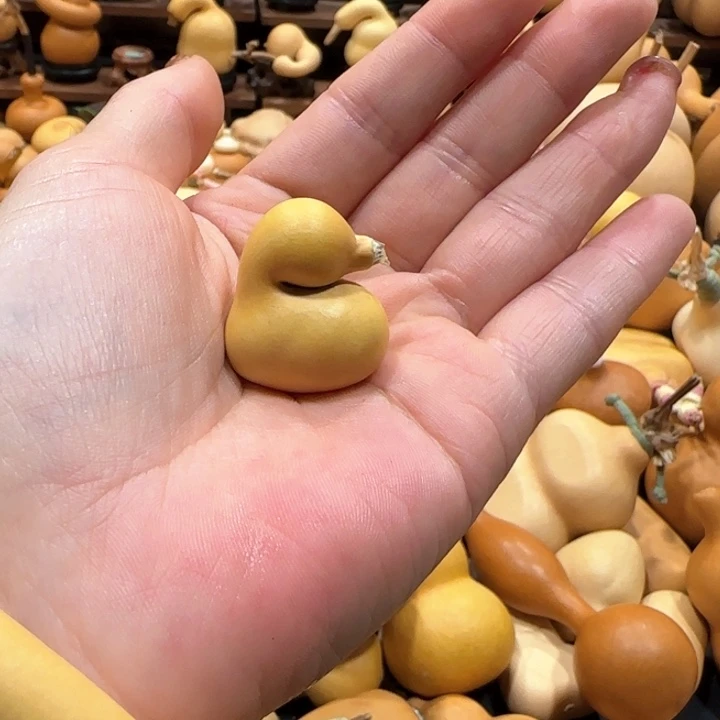 葫芦羊****狼11111111