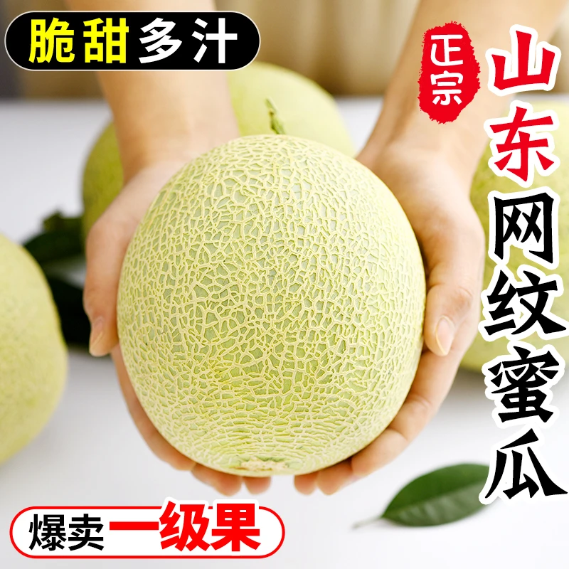 【新鲜发货】正宗山东冰淇淋网纹蜜瓜玫珑甜瓜当季新鲜水果整箱