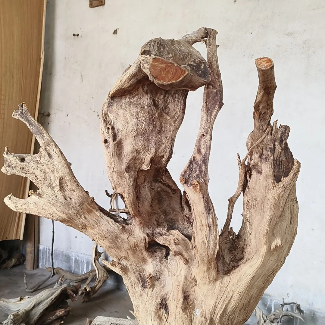 砖雕夏*末福利捡漏福利