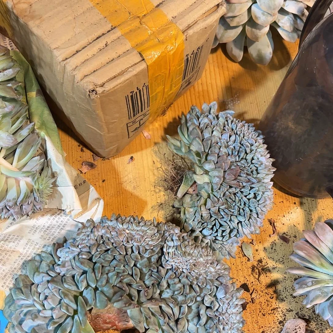 t****发货链接发货链接