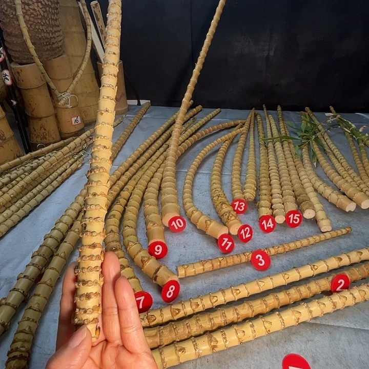 扇子苦竹烟杆半成品