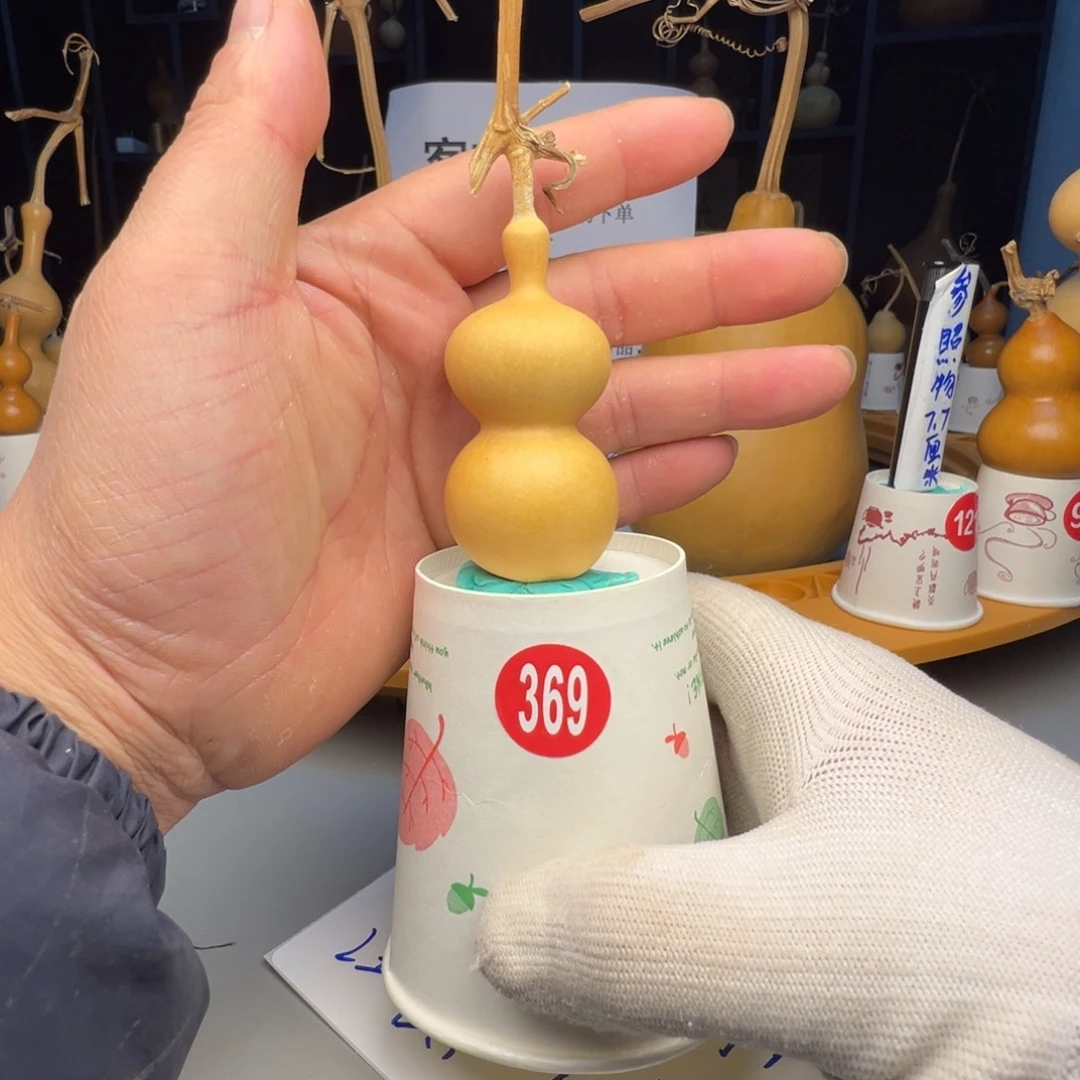 闪电购自助下单编号369