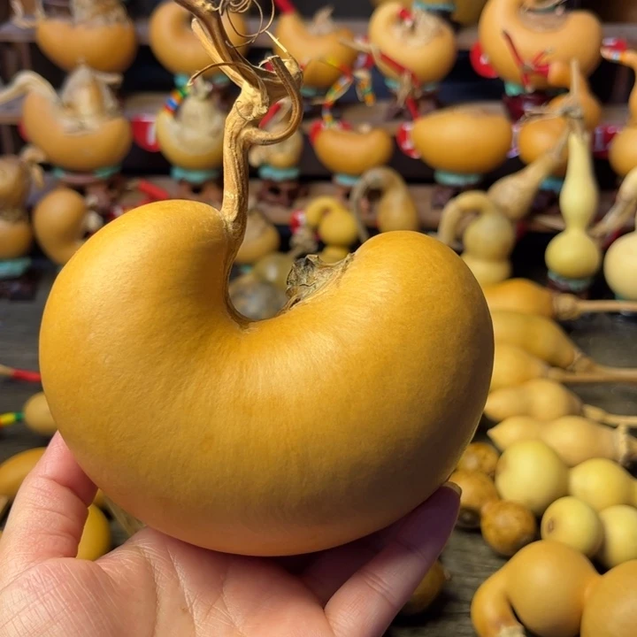 自***花腰子葫芦天天开心