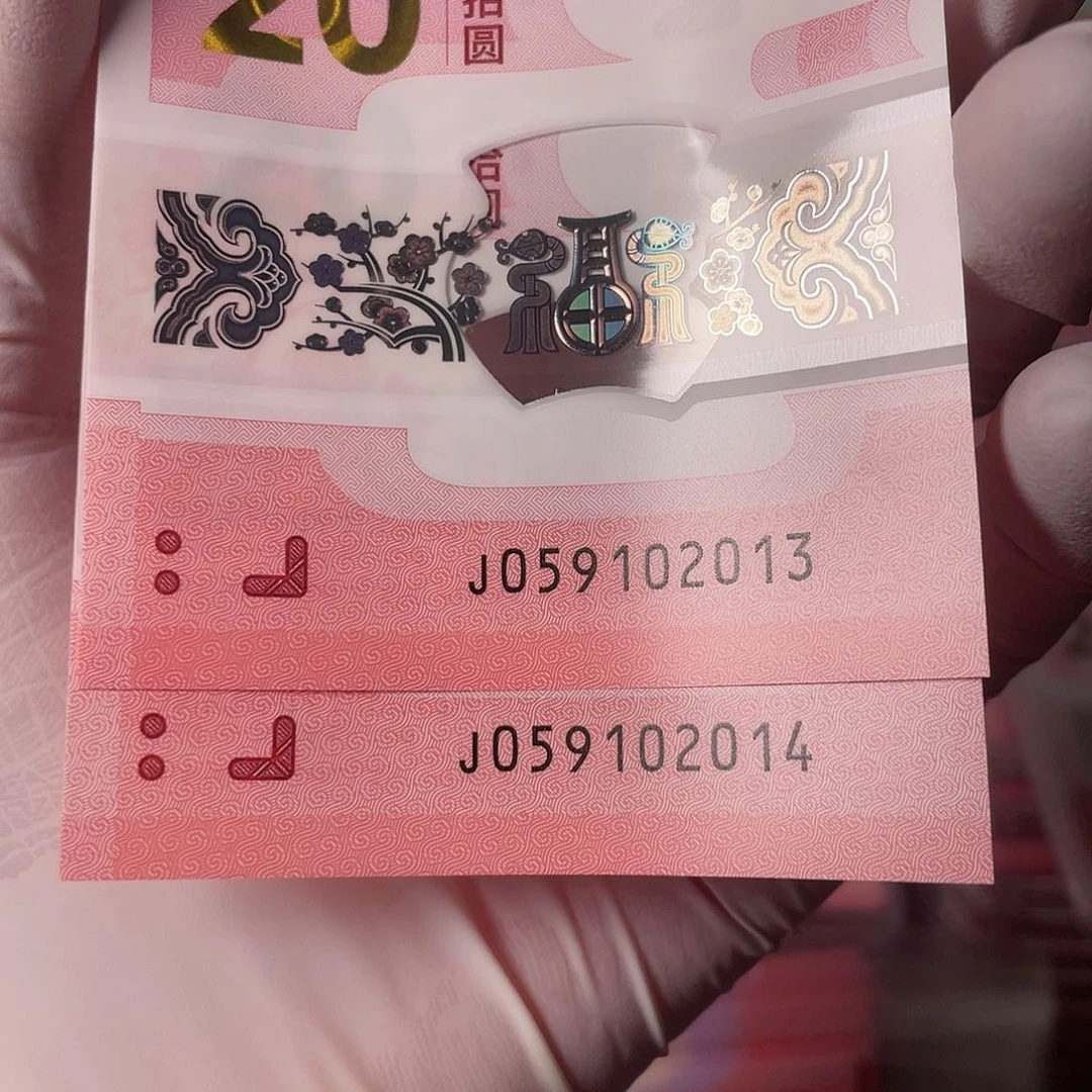 塑料翔蛇年纪念钞20132014