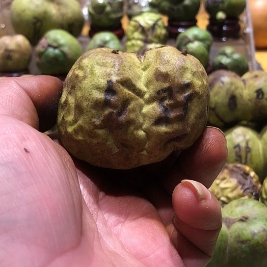 吊坠桃核核桃核桃