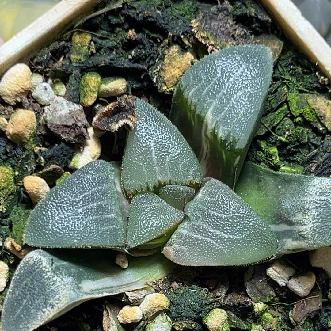 恭喜发财大吉大利0230