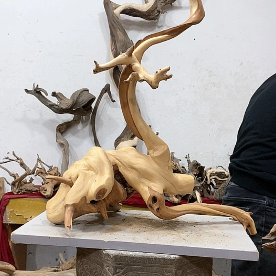 【闪购商品】柏木万**云我们都是好孩子