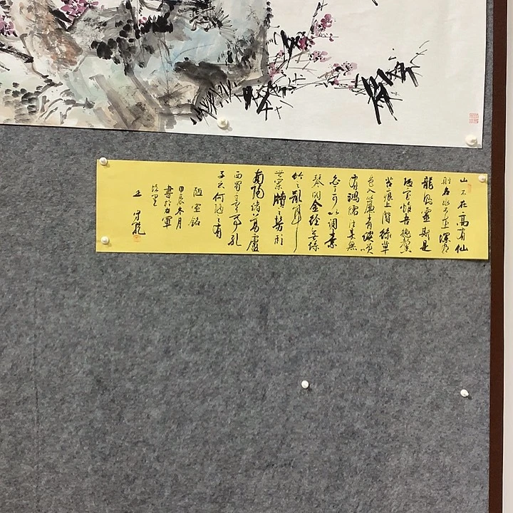 书法卓**凡王守乾老师作品