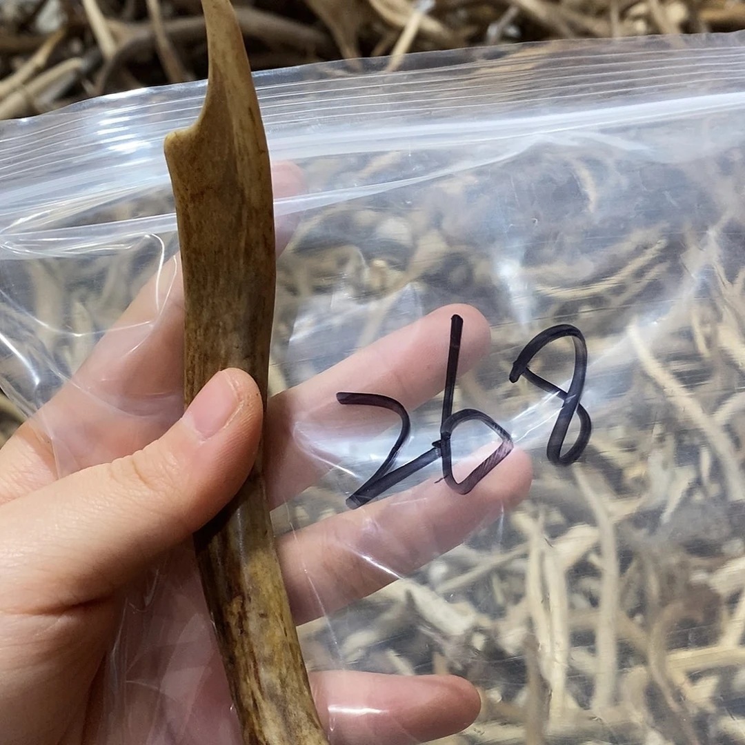 清***茶非金属鹿角鹿角鹿角