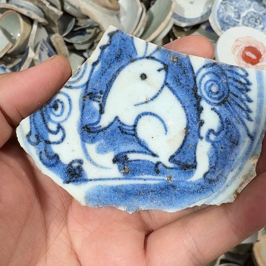 小***8瓷片瓷片标本，顺丰包邮
