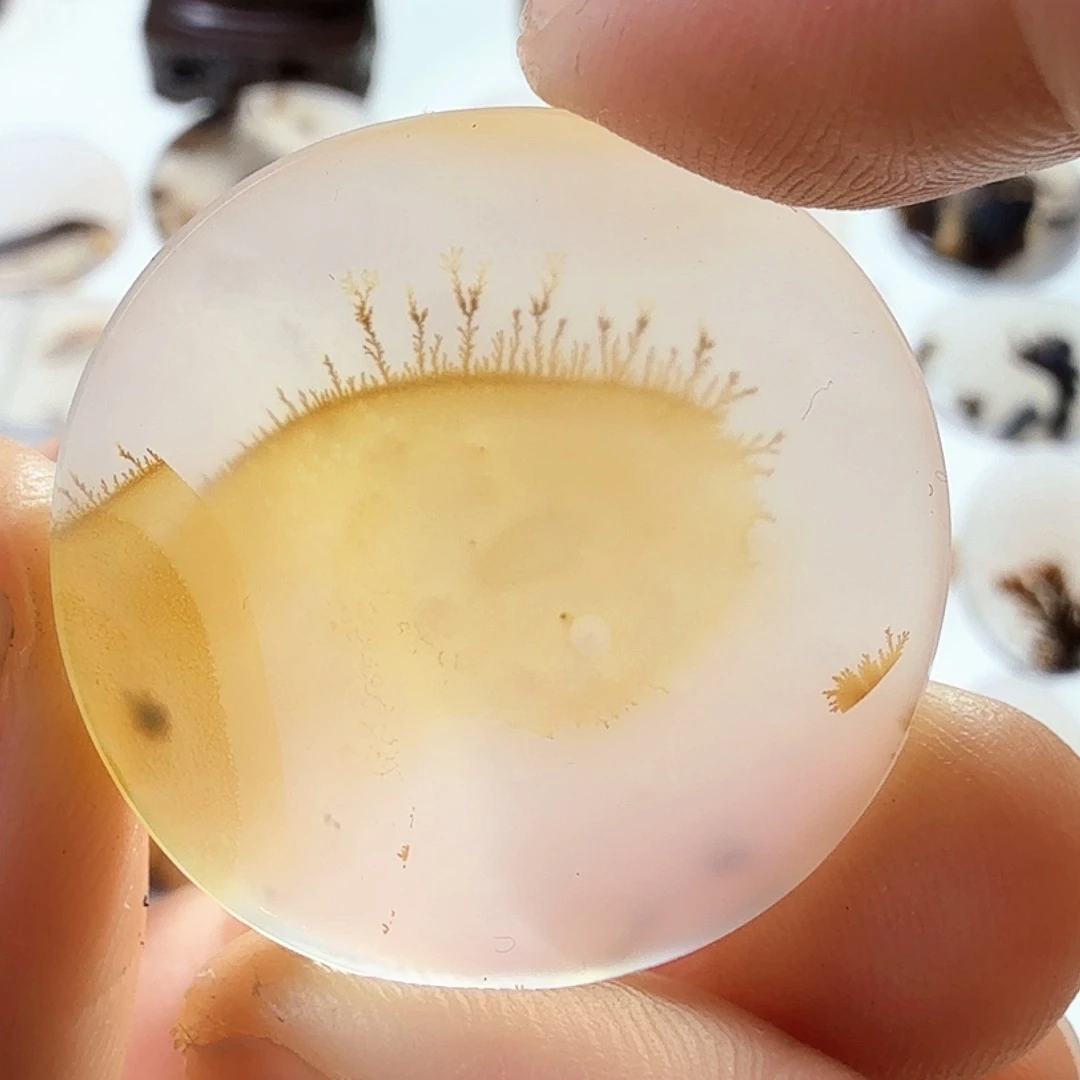 玛瑙/玉髓未镶嵌珠宝半成品