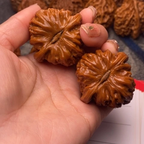 把件文玩核桃白狮子