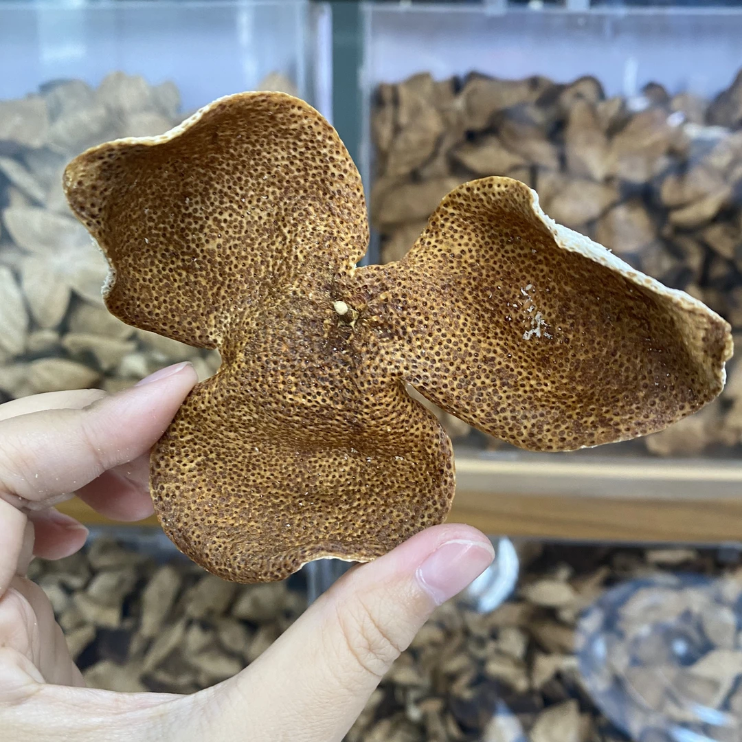 【薄荷香】2021年 梅江圈枝  薄荷香 花青一点红  干仓新会陈皮