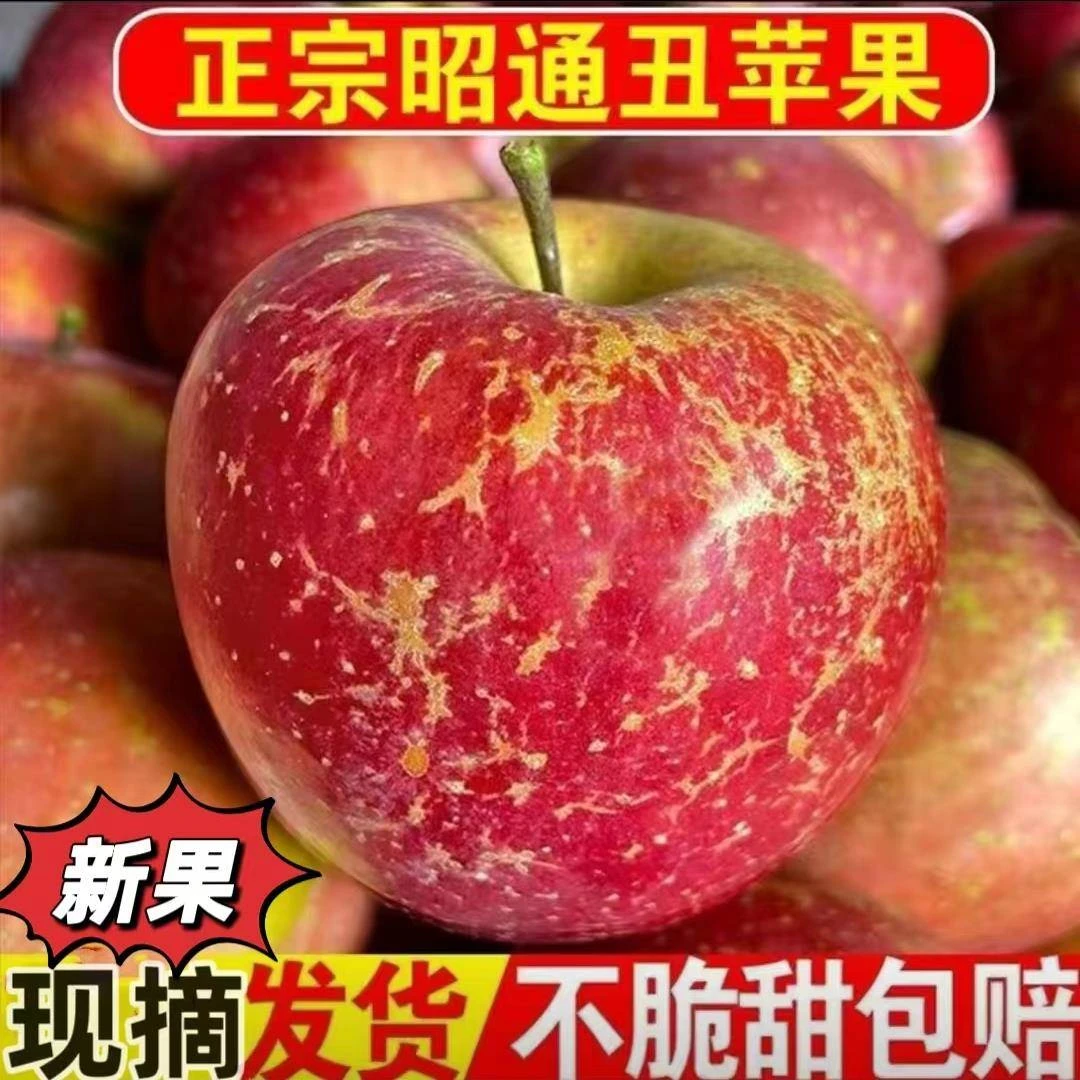 云南昭通冰糖心丑苹果脆甜多汁当季水果原产地直发