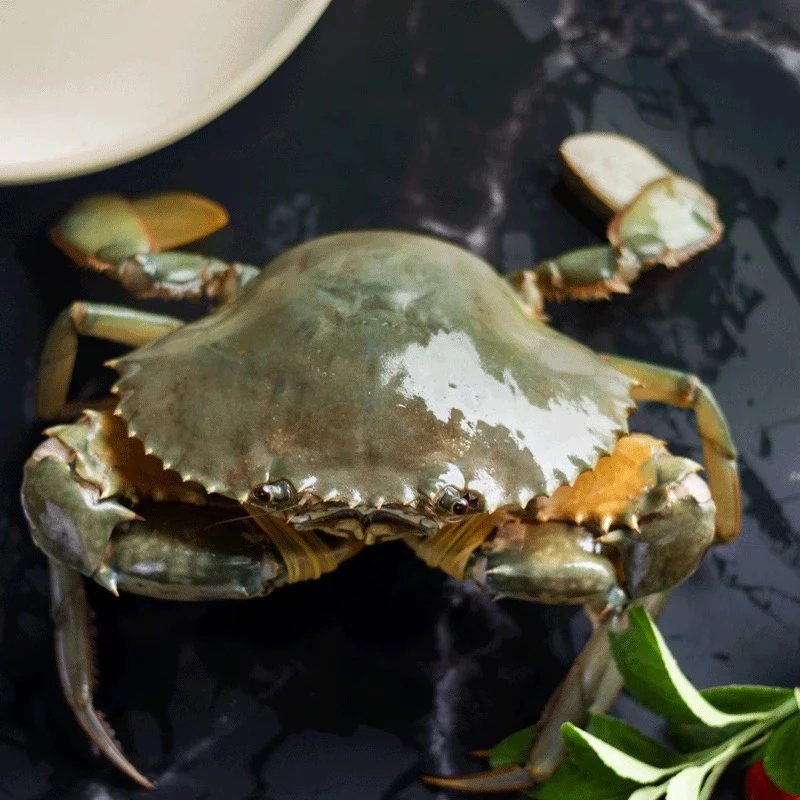 东山岛红树林红膏蟹5-8两/只有膏有黄包活到家（收到不能放冰箱）