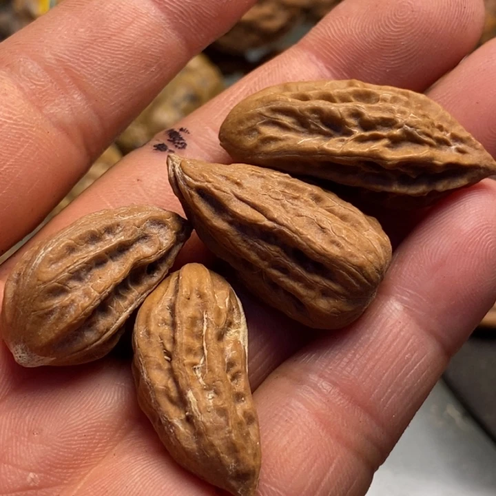 香榧木拿姐工艺流程84