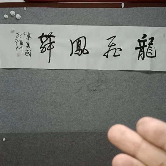 书法龙飞凤舞四尺对开书法作品