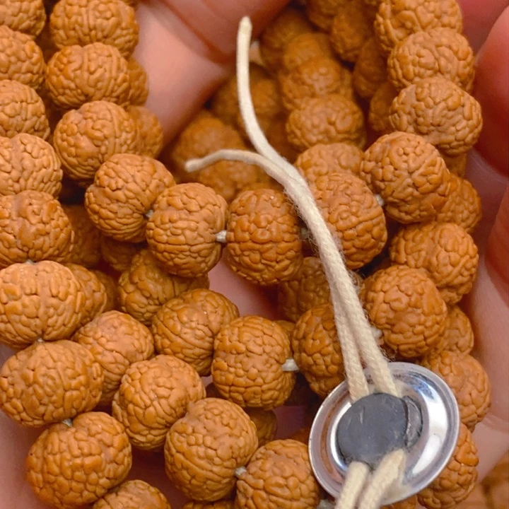 菩提东*龙鳞小金刚