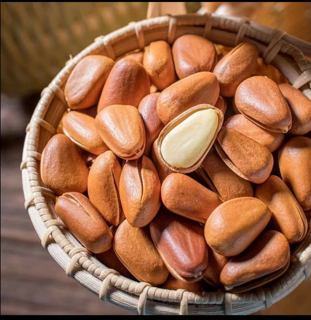 [年货节}东北新货松子   开口器  新货东北开口淞子送开口器