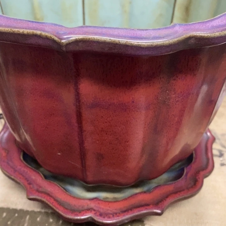 d***x瓷器新疆西藏海南不包邮不包邮