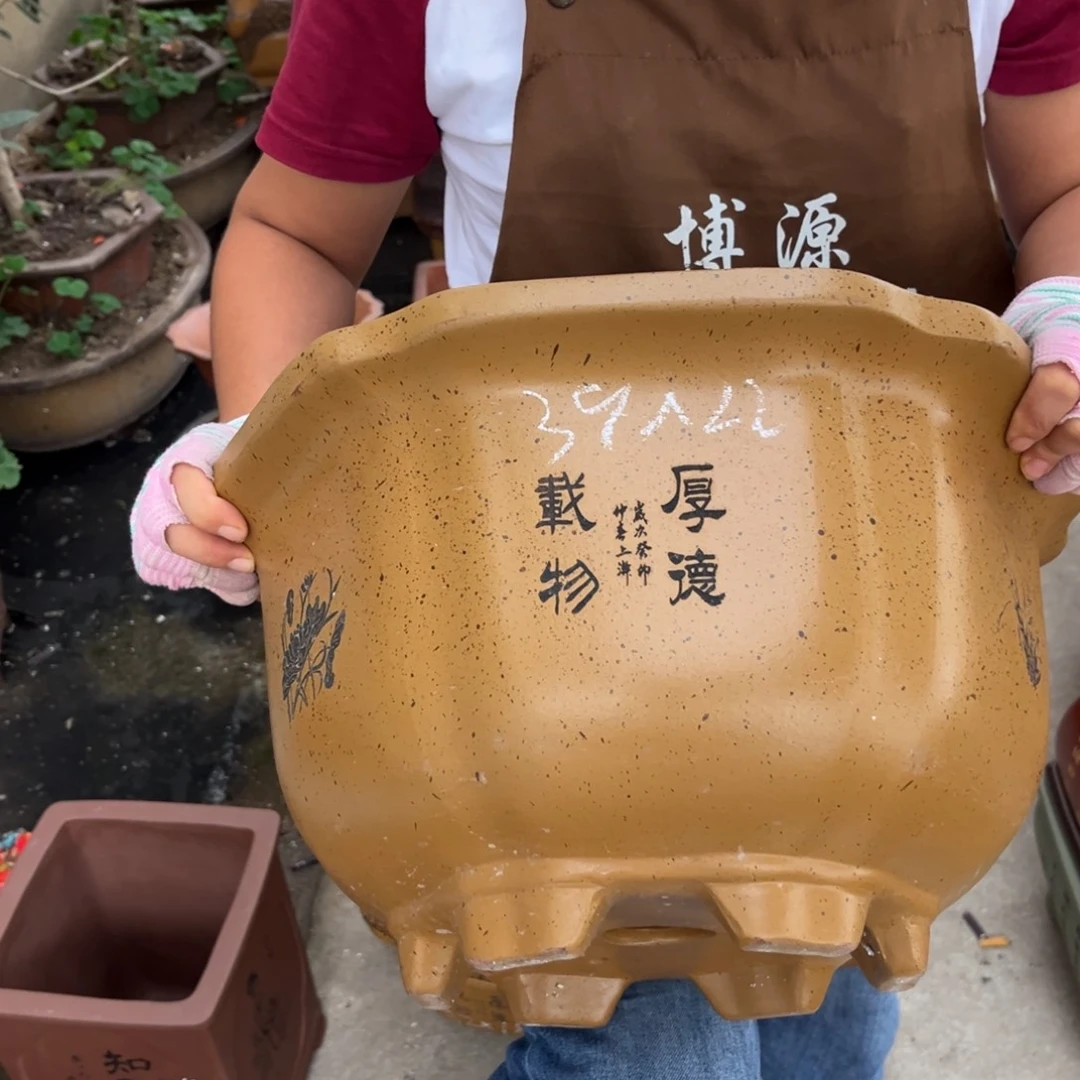 花盆紫砂盆景艺术