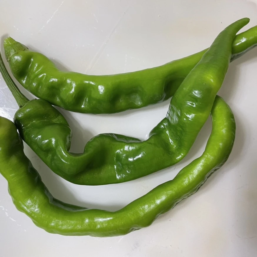 东北吉林农村辣椒 新鲜辣椒 顺丰包邮