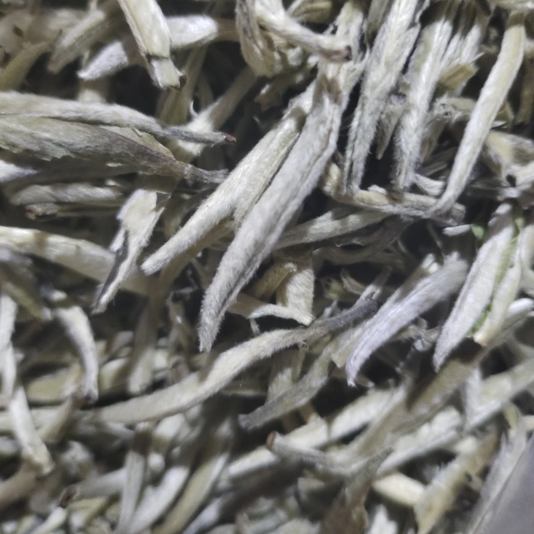 大白毫白毫银针布朗大白豪250克