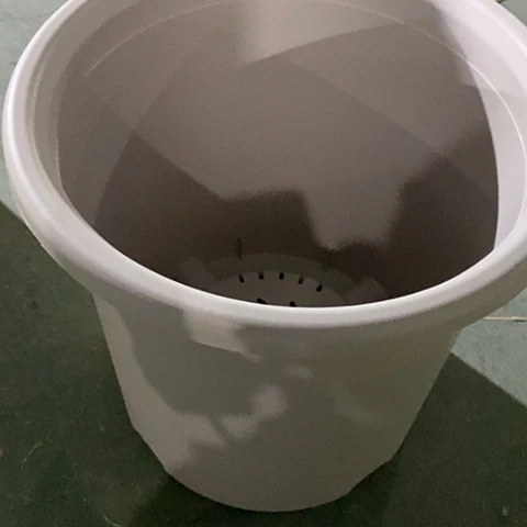 树脂四季8号灰白无托5个特价