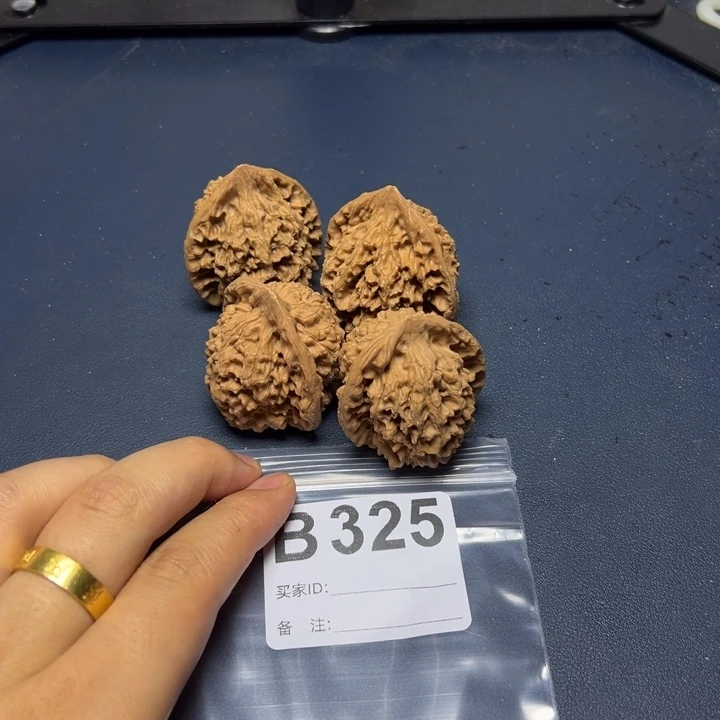 哈哈哈哈我的小可爱
