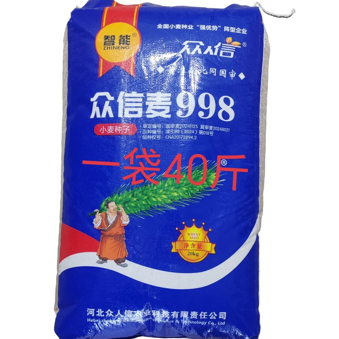 众信麦998双国审矮杆高产抗倒小麦种子
