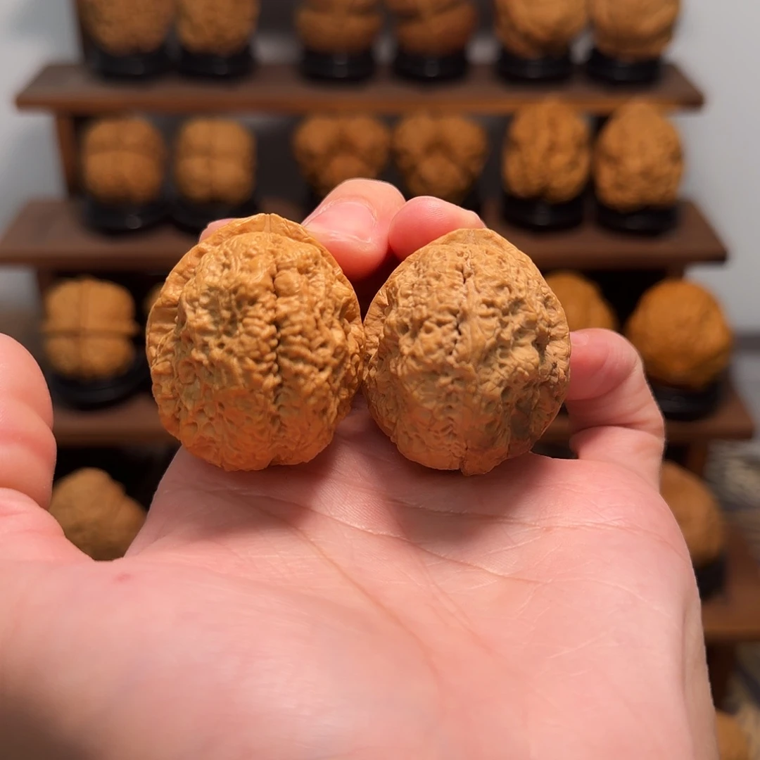 把件文玩核桃蝴蝶蟾