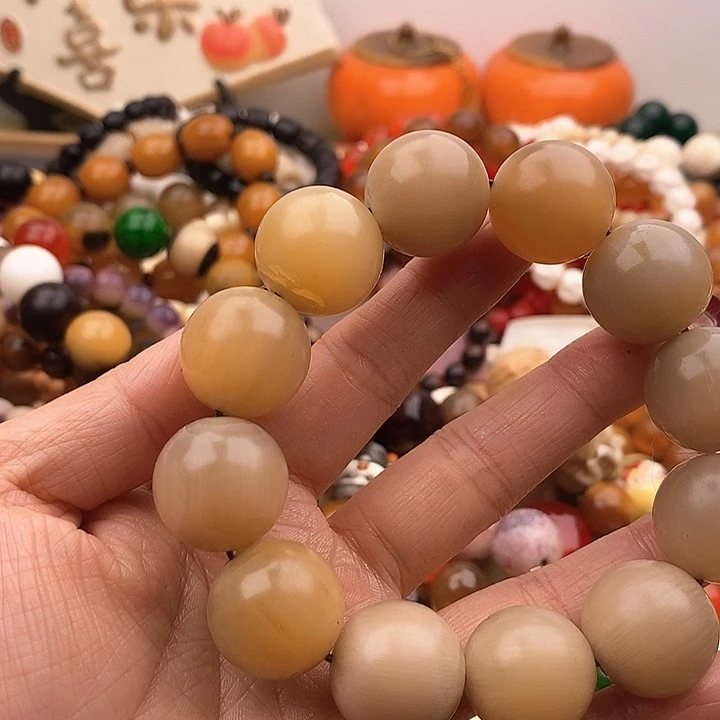 大果紫檀（缅甸花梨）20m