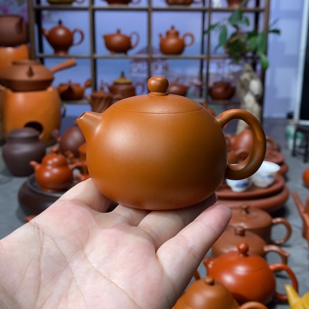 紫砂茶壶陈伟庆鸡蛋黄西施100cc
