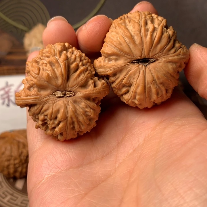 白***尘泥鳅1头及其它野生动植物约