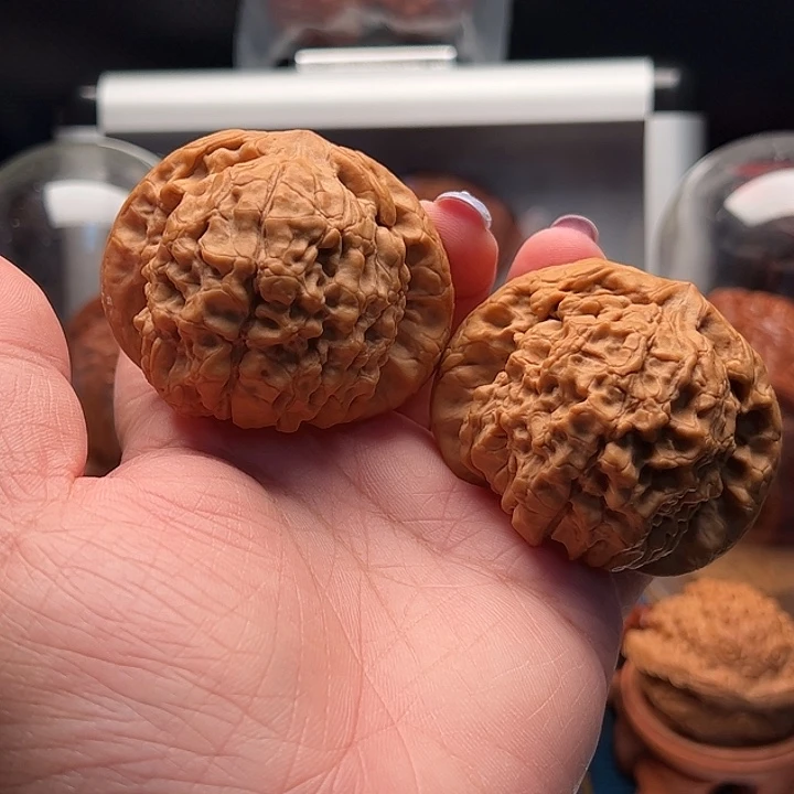 文玩核桃把件龙鼎 全品