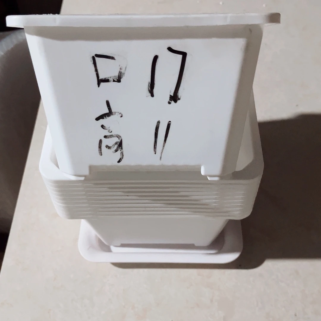 塑料福利款17方白色盆10个带托盘