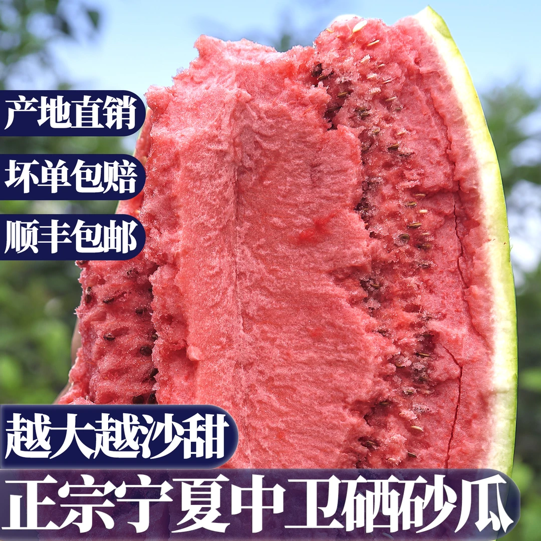 正宗宁夏中卫硒砂瓜当季新鲜水果整箱沙地压砂石头瓜沙瓤西瓜多汁
