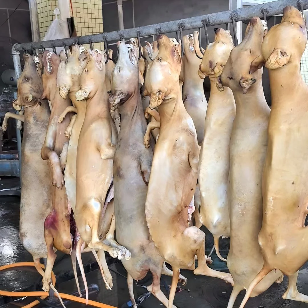 【旺财肉后腿肉】农家散养旺财现称现卖顺丰特快冷链包邮