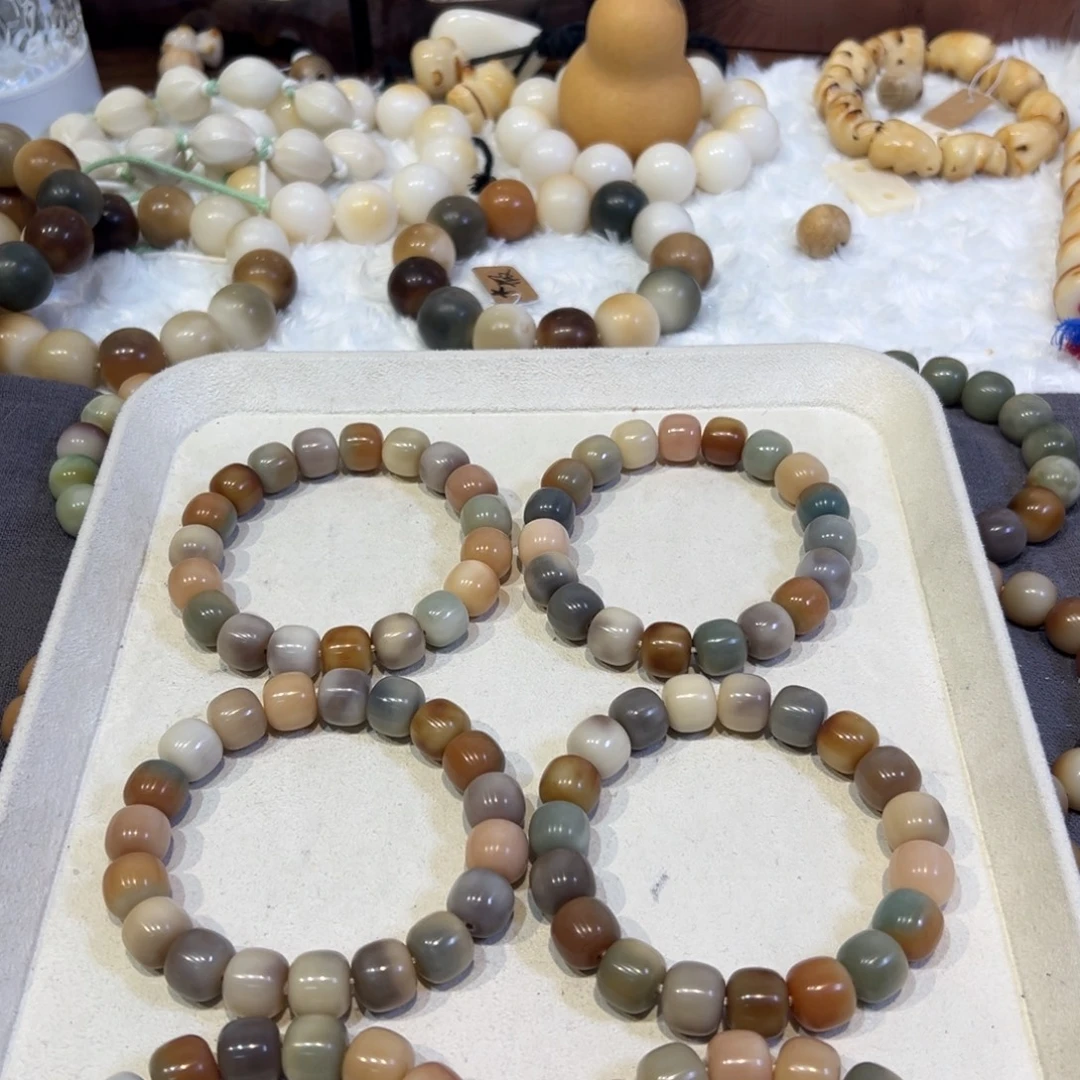 菩提根/象牙果吊坠卡13桶全