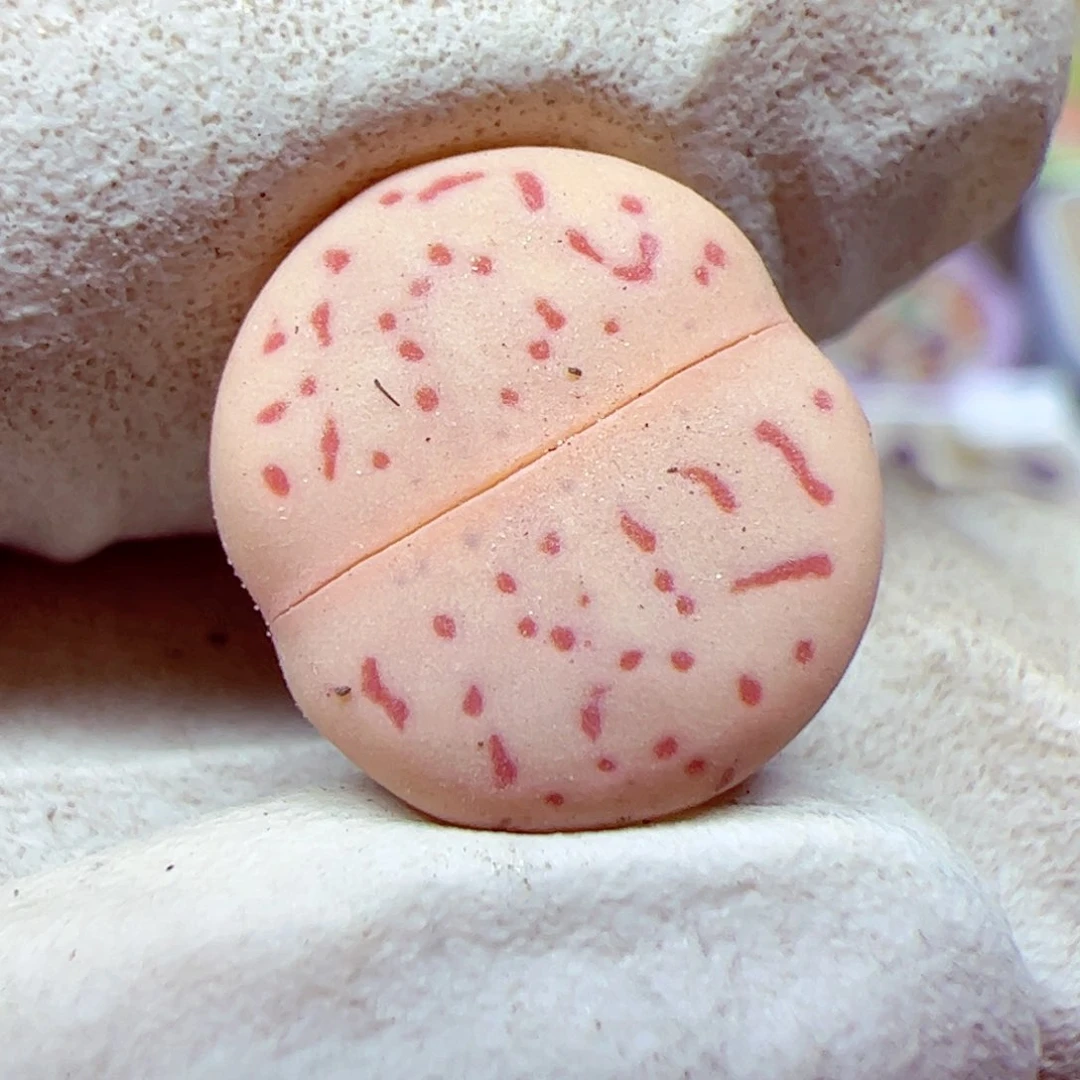 过*116优秀的肉肉103